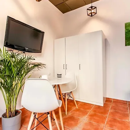 Studio Na Monte Cassino 21 Apartamento *